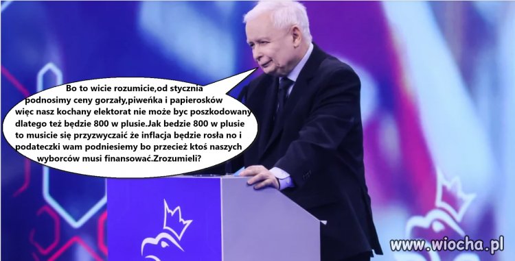 Wicie rozumicie