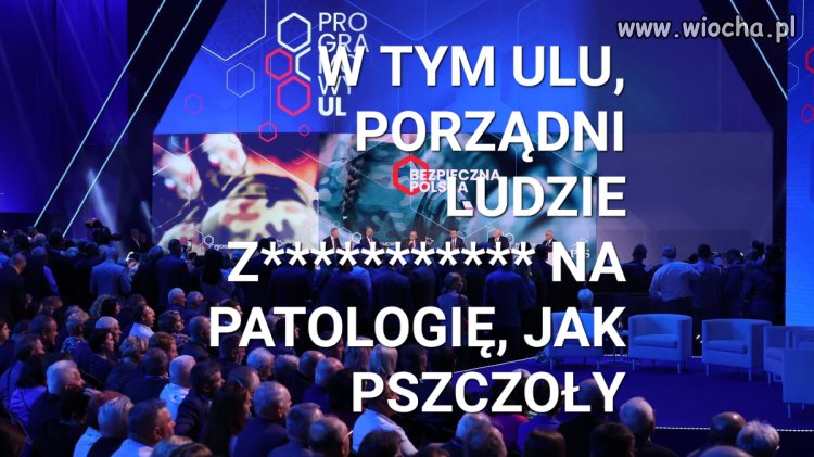 800+ dla patoli, oto program pis