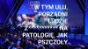 800+ dla patoli, oto program pis