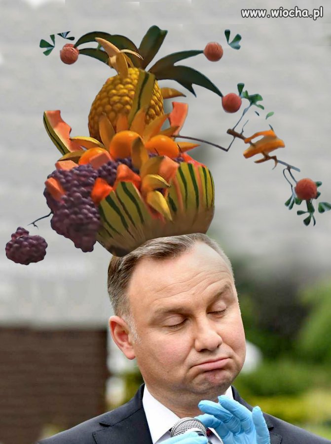 Korona hańby
