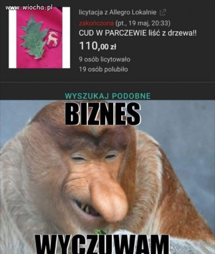 Biznes