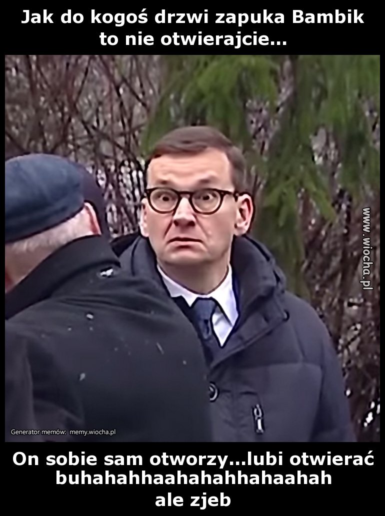 Jak do kogoś drzwi zapuka Bambik