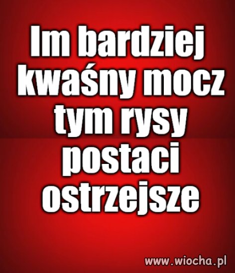 Porady ciotki Włady