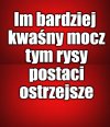 Porady ciotki Włady