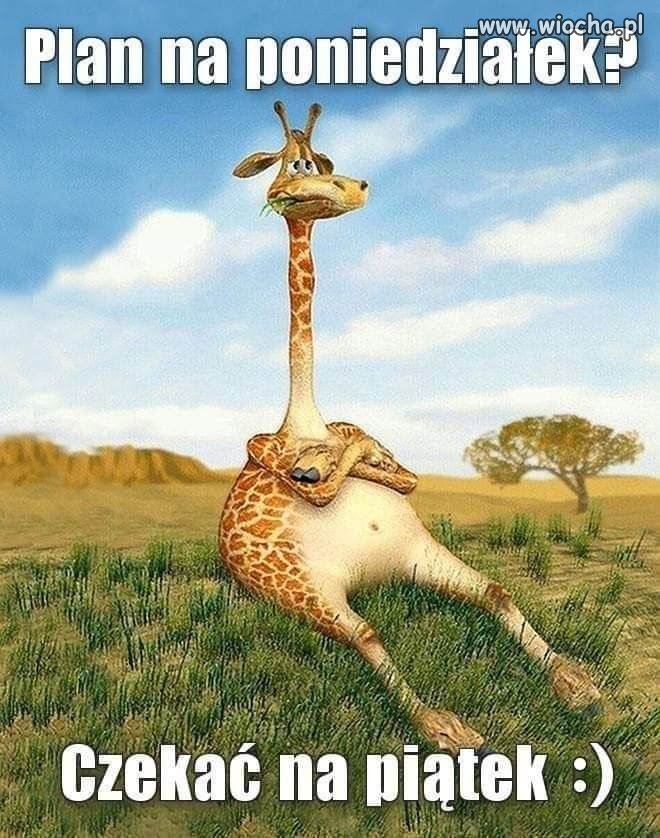 Można i tak