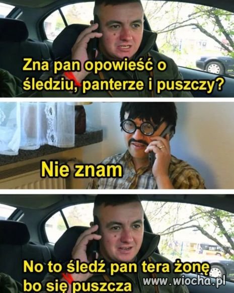 Śledź, pantera i puszcza.