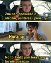 Śledź, pantera i puszcza.
