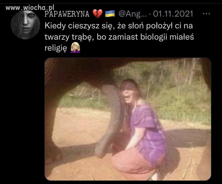Słoń o dwóch trąbach