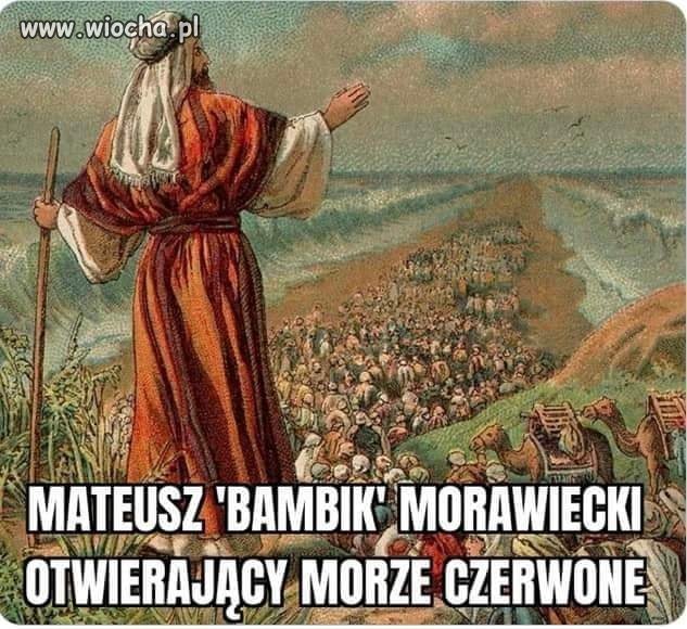 Bambik 