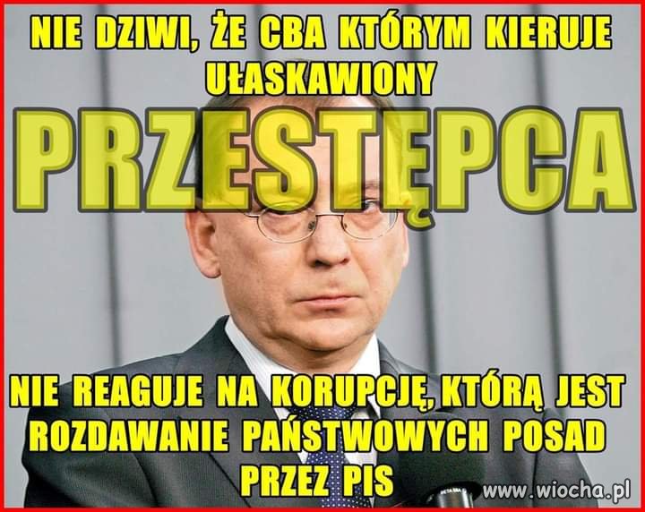 Jak pokazał czas, co drugi to przestępca, jak nie więcej