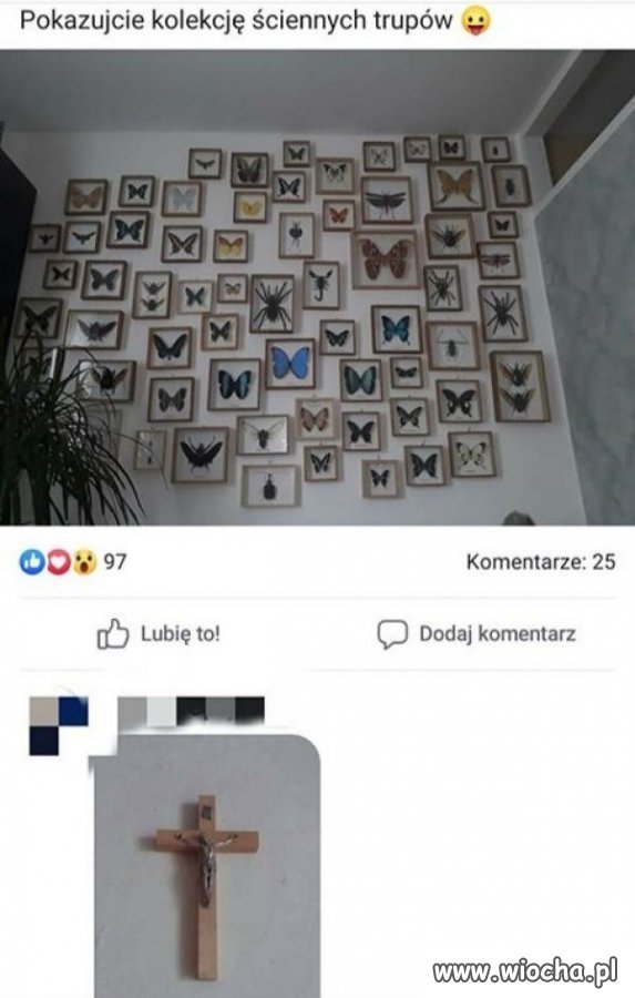 Kolekcja...