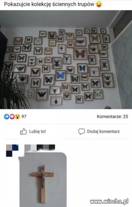Kolekcja...