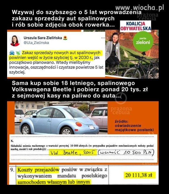 Zielona hipokryzja