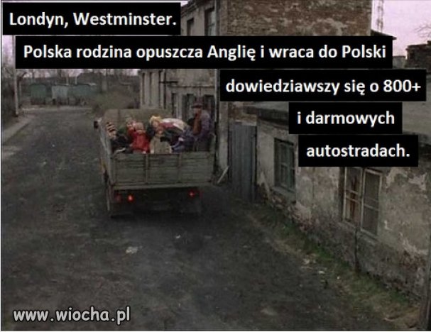 Dobre wiadomości PiSu, już dotarły do Polonii...