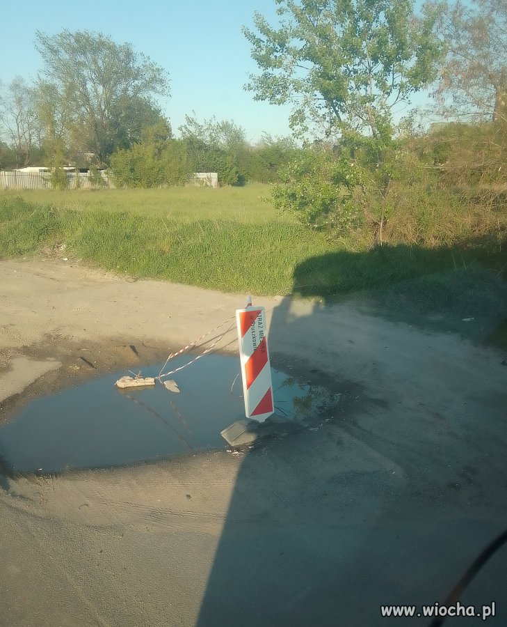 Straż wiejska w Pruszkowie zabezpieczyła kałuże.
