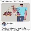 Balans życia 