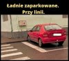 Wzorcowo zaparkowane