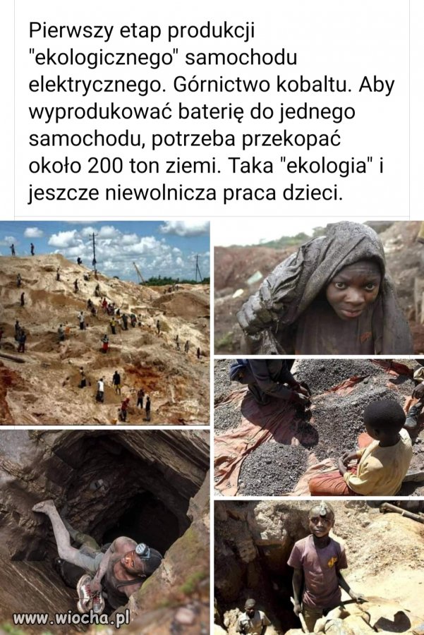 Taki on ekologiczny 