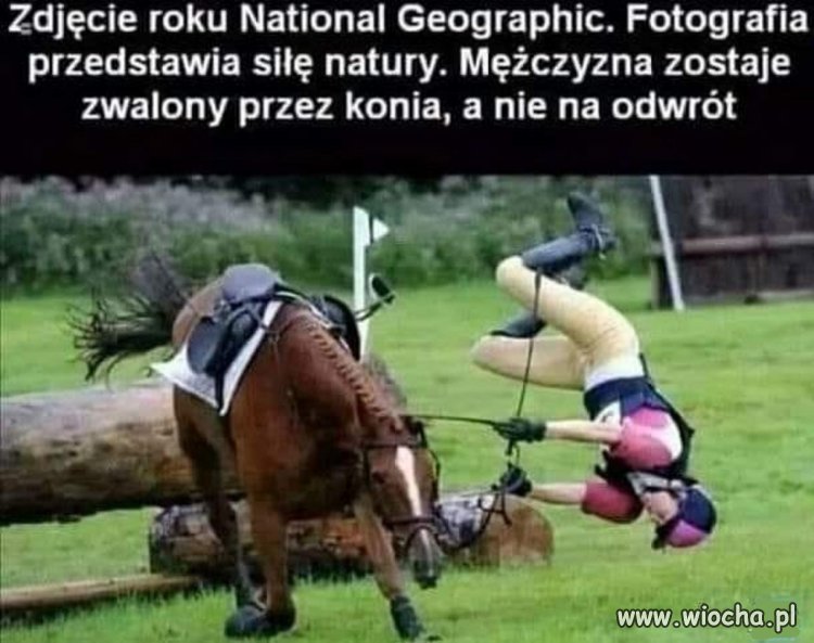 Takie anomalia