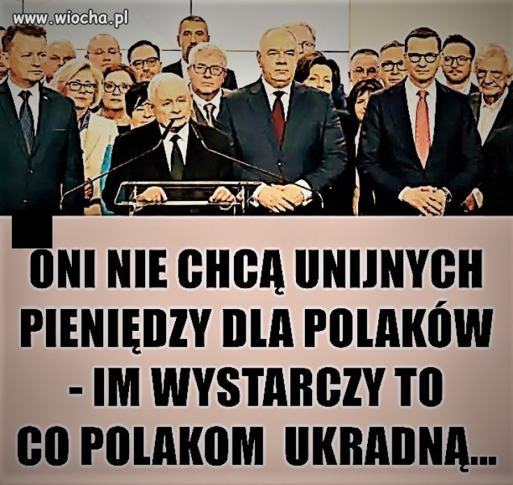Kanalie. Nic gorszego nie mogło naszego kraju spotkać.