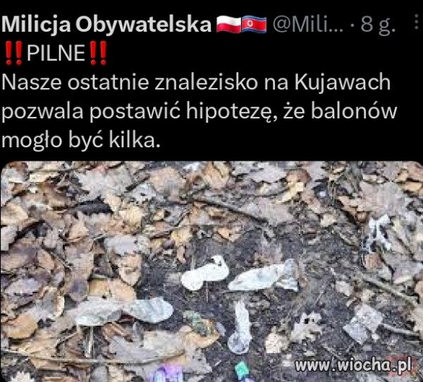 Balony po białoruskich grzybiarkach.
