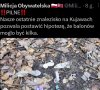 Balony po białoruskich grzybiarkach.