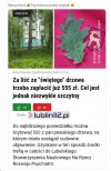 Widać, że psychiatria w Polsce jest niedofinansowana