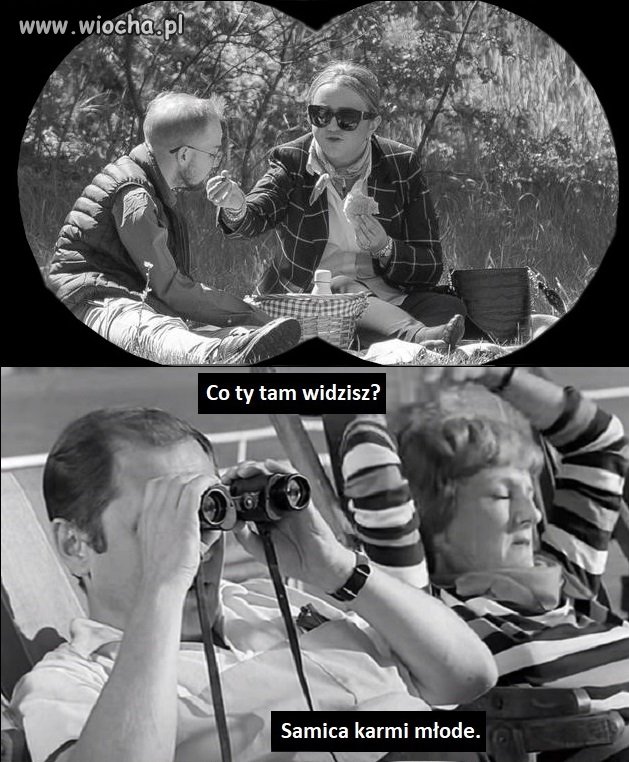 Tak to wygląda