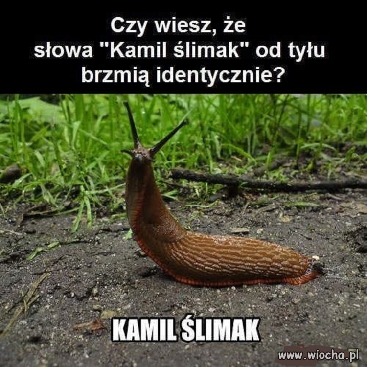 Takie pierdoły
