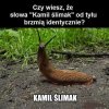 Takie pierdoły