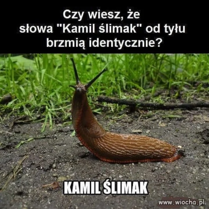 Takie pierdoły
