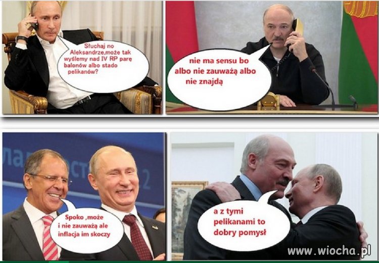 Putin,Aleksander,pelikany