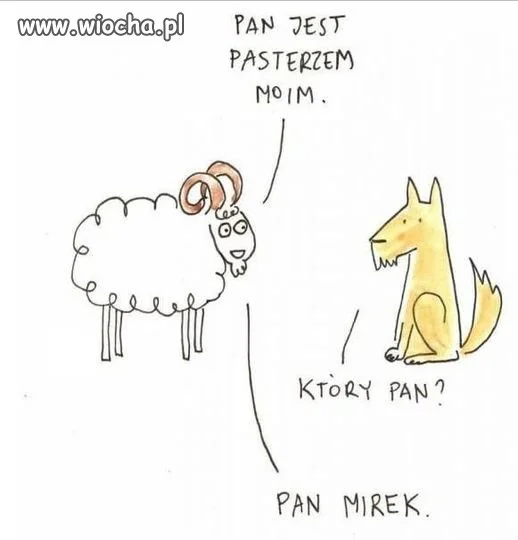 Barany muszą wiedzieć