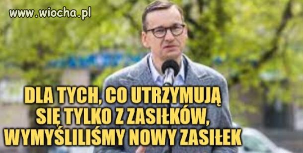 Program wyborczy dla pisiorów 