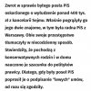 Teraz już wiadomo dlaczego okradają Polskę?