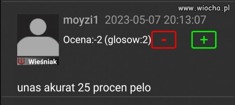 Wyborca PiS i jego pisownia 