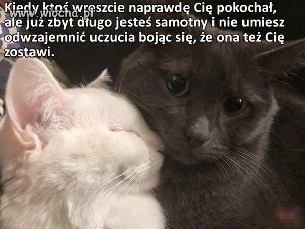 I zostawi 