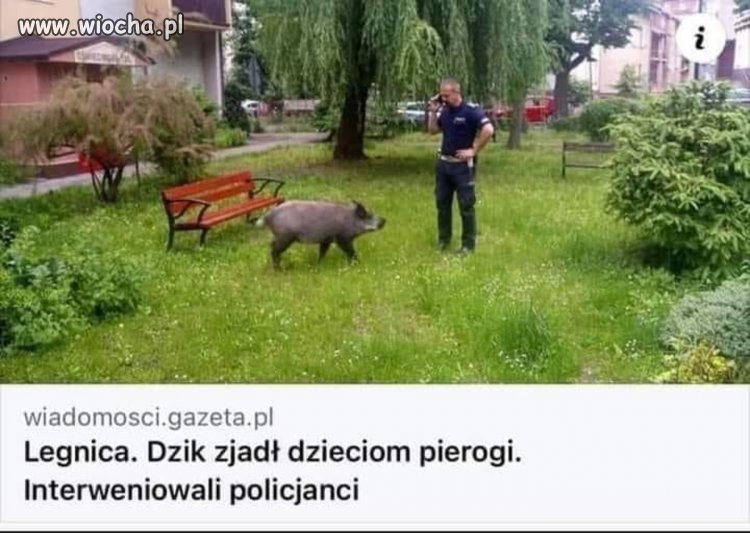 Bo do poważniejszych spraw