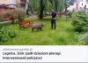 Bo do poważniejszych spraw