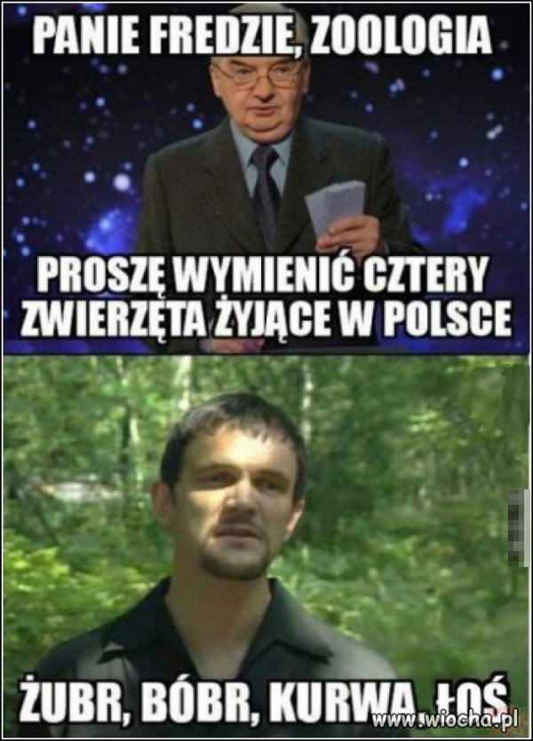 Wymienił same ssaki.