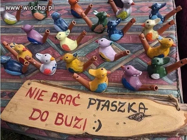 Ptaszka Do Buzi Można Brać