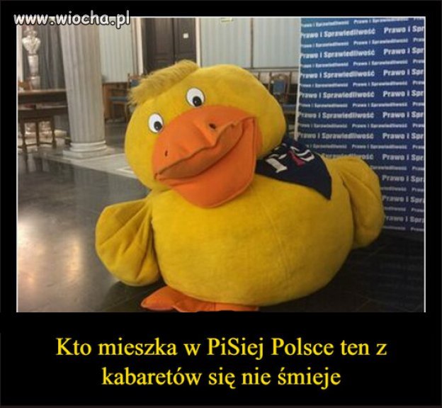 Rzady PiSu to najlepszy kabaret...nawet w Europie!