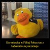 Rzady PiSu to najlepszy kabaret...nawet w Europie!