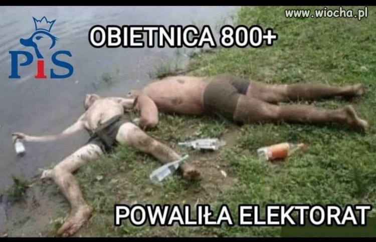 Wakacje za 800?
