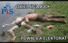 Wakacje za 800?