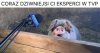 Ekspert TVPiS 