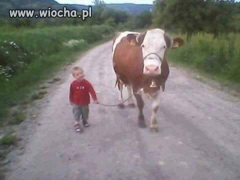 I ja za pługiem chodziłem