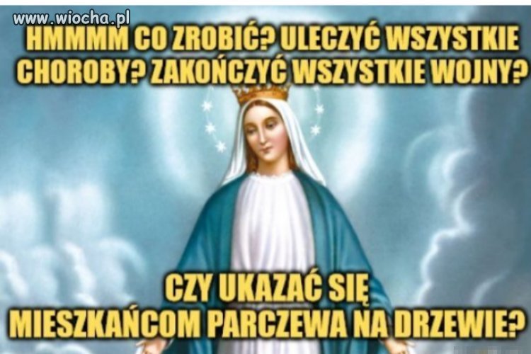 Dylematy, dylematy