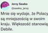 Coś w tym jest