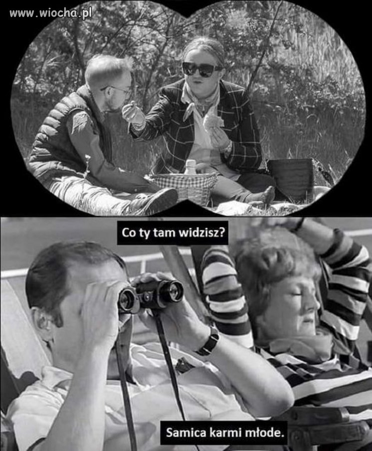 W sumie tak to wygląda